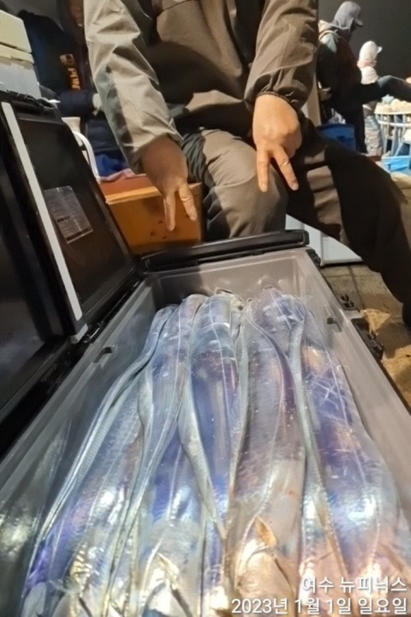 한1월1일갈치 (43).jpg