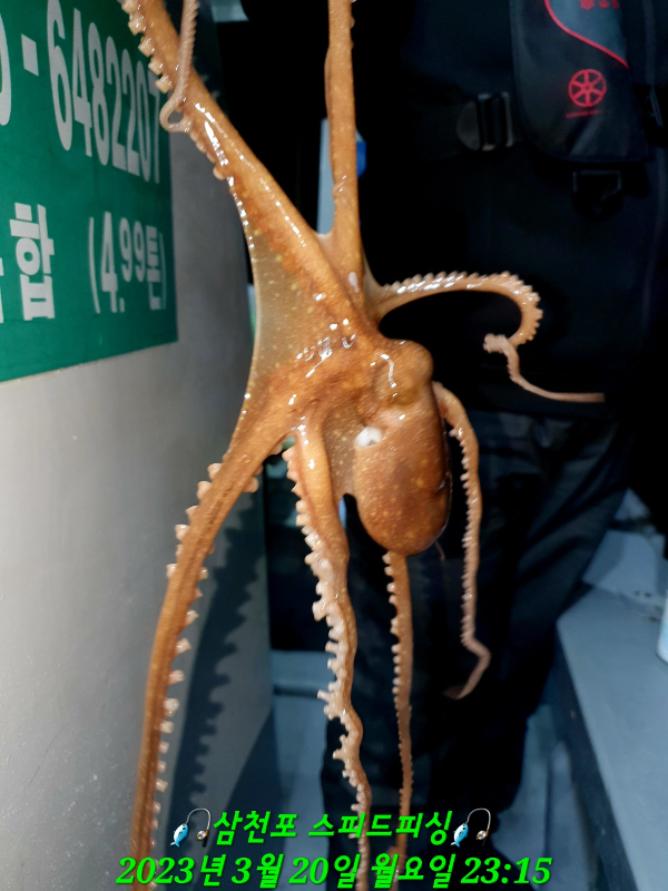 KakaoTalk_20230321_044439081_06.jpg