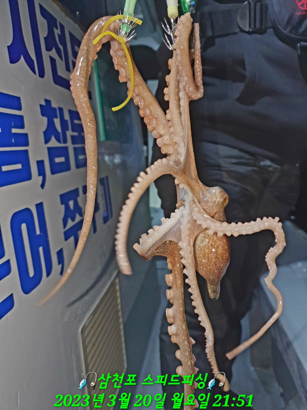 KakaoTalk_20230321_044439081_14.jpg