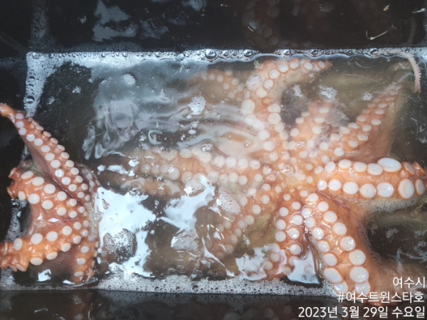 d5cc00445664eb300912cc52f8980453.jpg