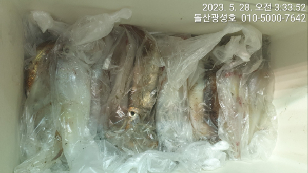 KakaoTalk_20230528_092356112_13.jpg