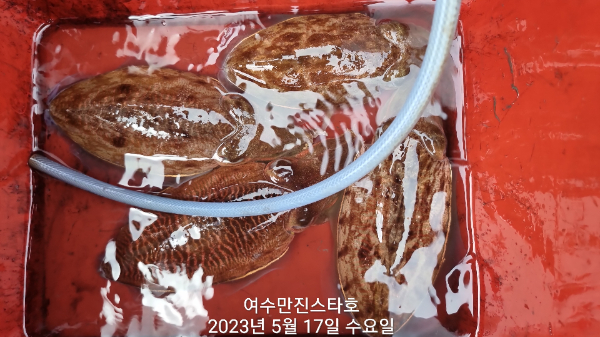 28af9cd2a5458e2e9c092e54ab2bac00.jpg