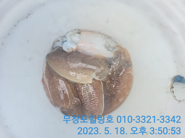 1684397766136.jpg