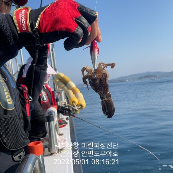 TC_02508.jpeg