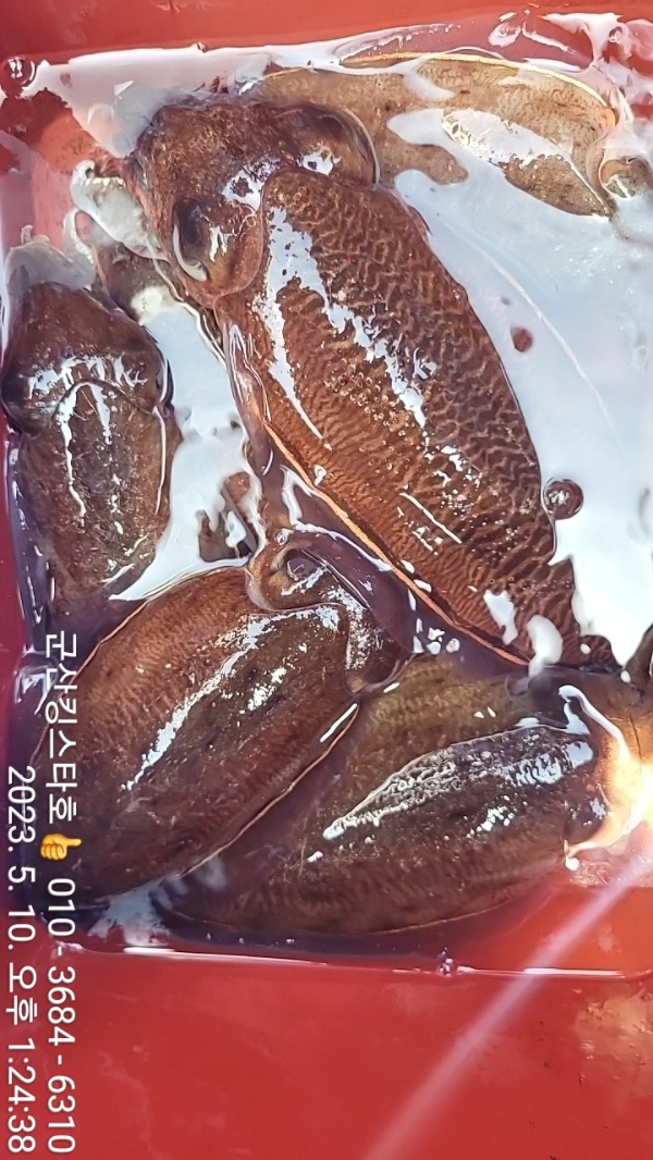KakaoTalk_20230511_040655283_18.jpg