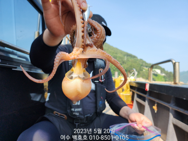 b60c4001328ab7d9078ef50cf2a7075a.jpg
