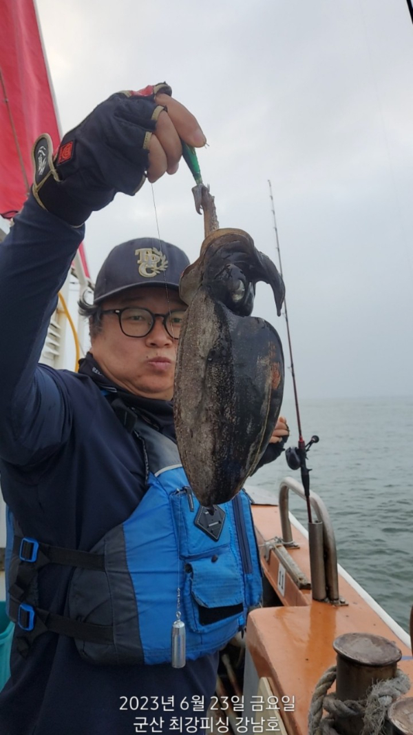 바라기-강남호-52087386136.jpg