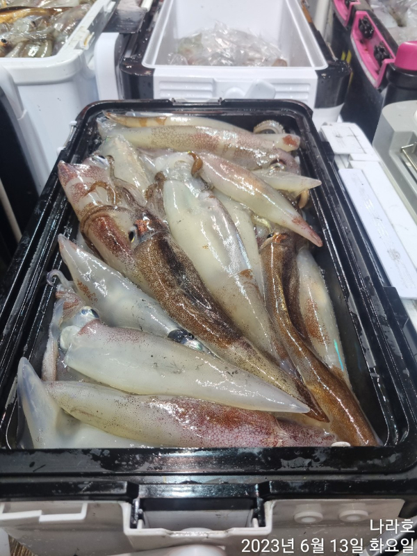 KakaoTalk_20230613_085816143_07.jpg