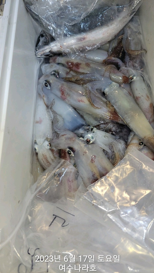KakaoTalk_20230617_072013677_09.jpg