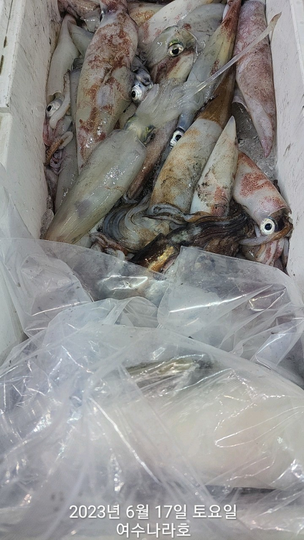 KakaoTalk_20230617_072013677_18.jpg