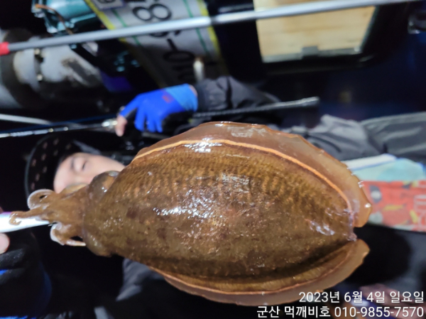 KakaoTalk_20230604_041434180.jpg