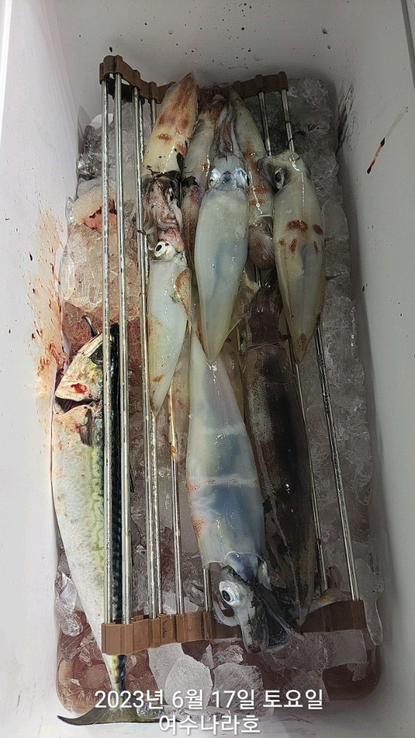KakaoTalk_20230617_072013677_22.jpg