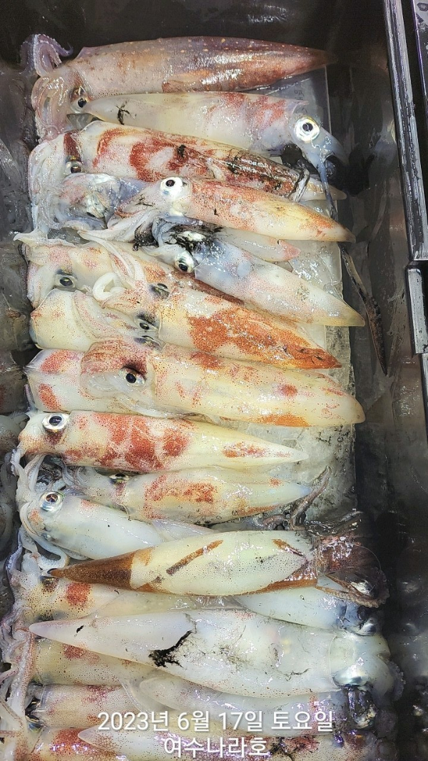 KakaoTalk_20230617_072013677_19.jpg