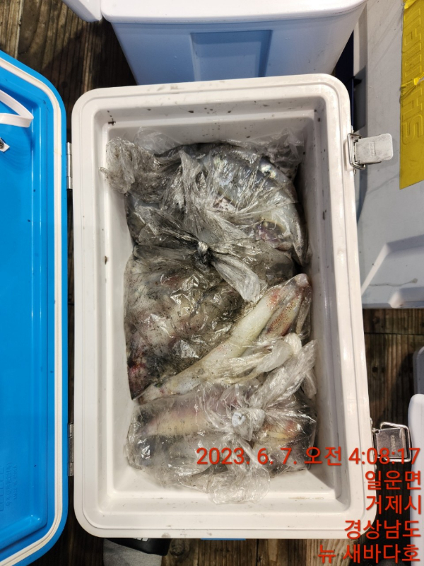 38a66048ef4260ba0df06b9cdfc5a44f.jpg