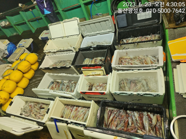 KakaoTalk_20230623_065517273_29.jpg