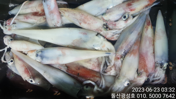 KakaoTalk_20230623_065517273_11.jpg