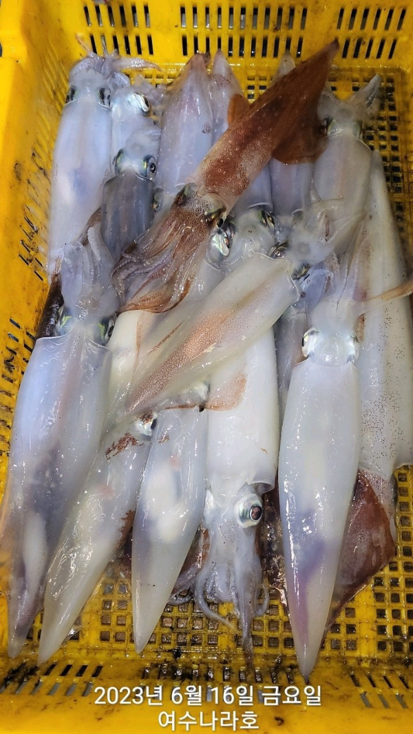 KakaoTalk_20230617_072013677_11.jpg