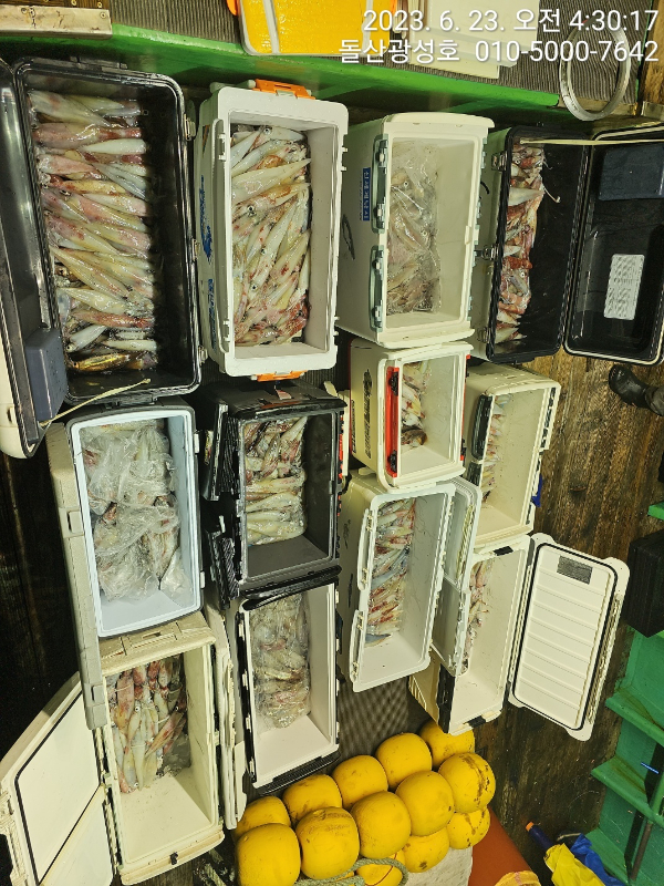 KakaoTalk_20230623_065517273_23.jpg