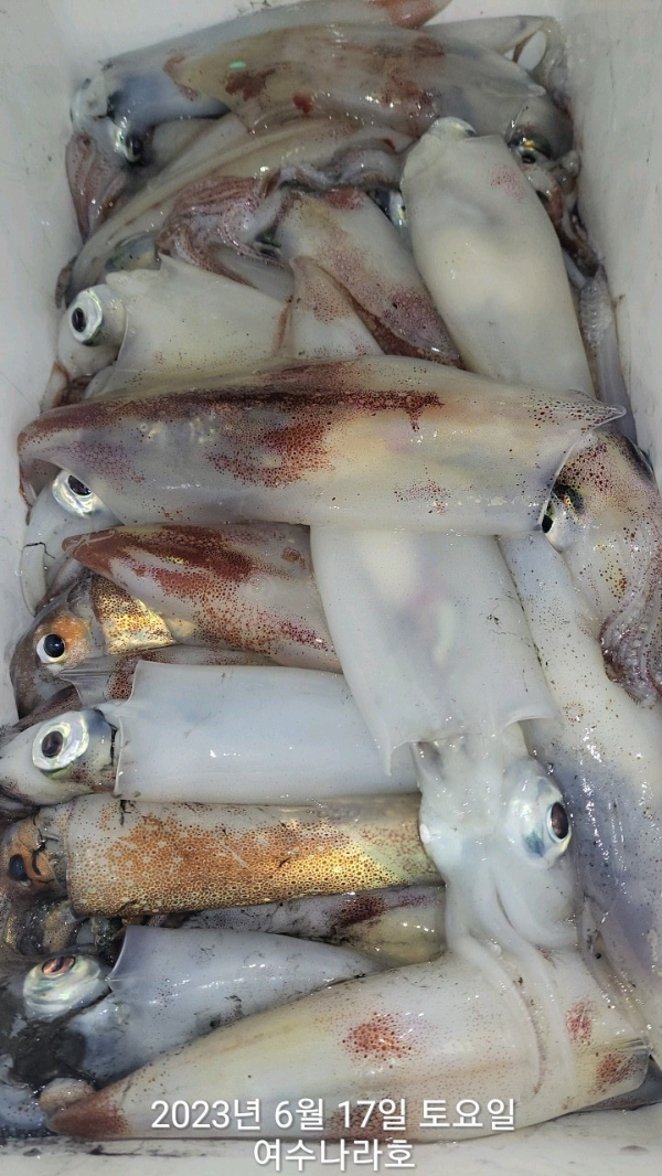 KakaoTalk_20230617_072013677_06.jpg