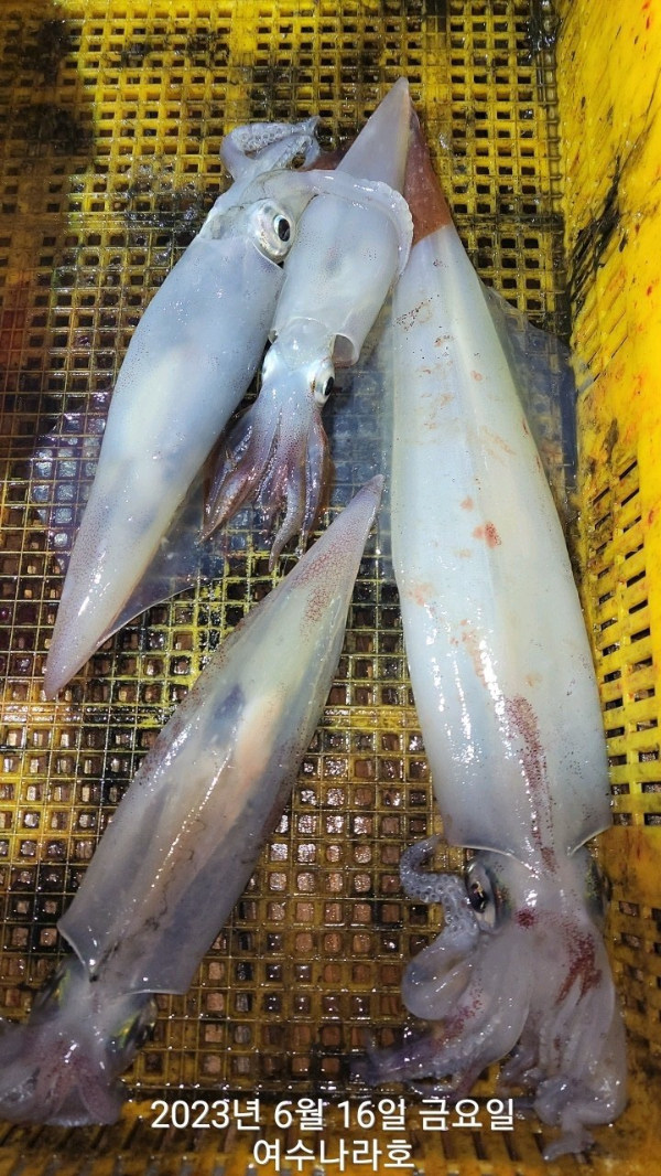 KakaoTalk_20230617_072013677_25.jpg