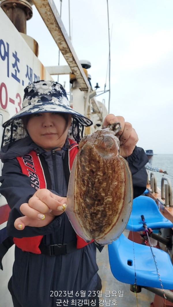 바라기-강남호-52087386137.jpg