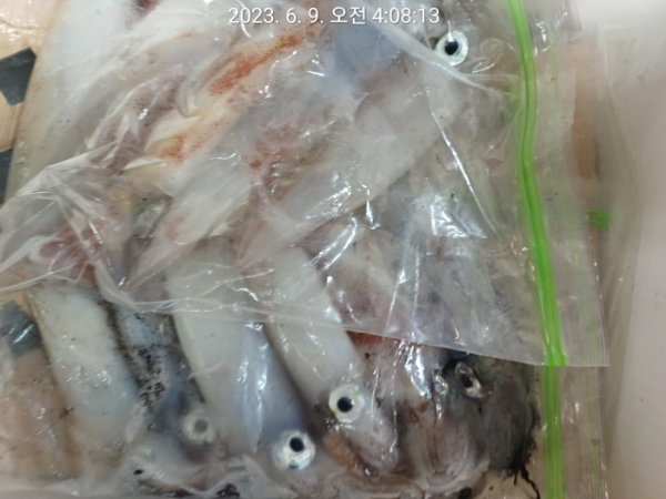 8503eded13ca59d3b0c68f5b70dcd571.jpg