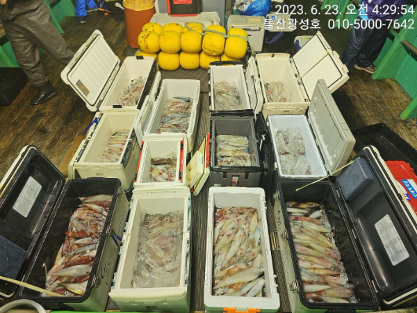 KakaoTalk_20230623_065517273_26.jpg