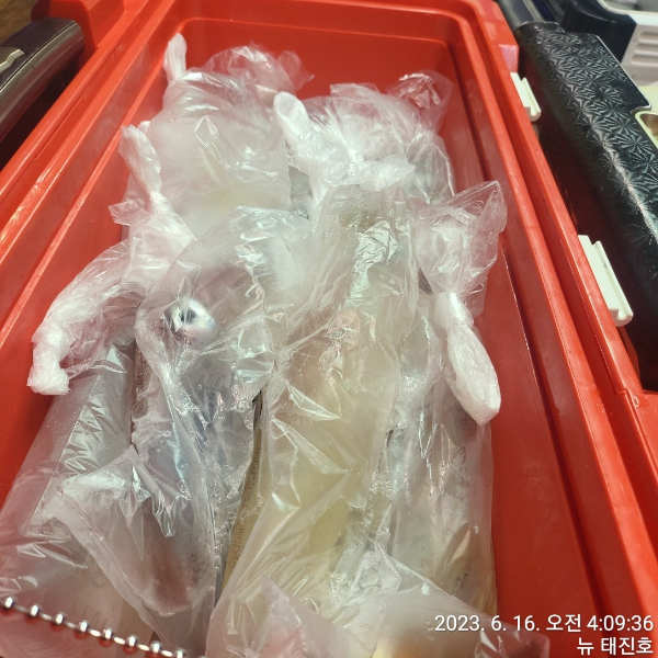 96094b905b5947c6be89d9fda1c308a1.jpg