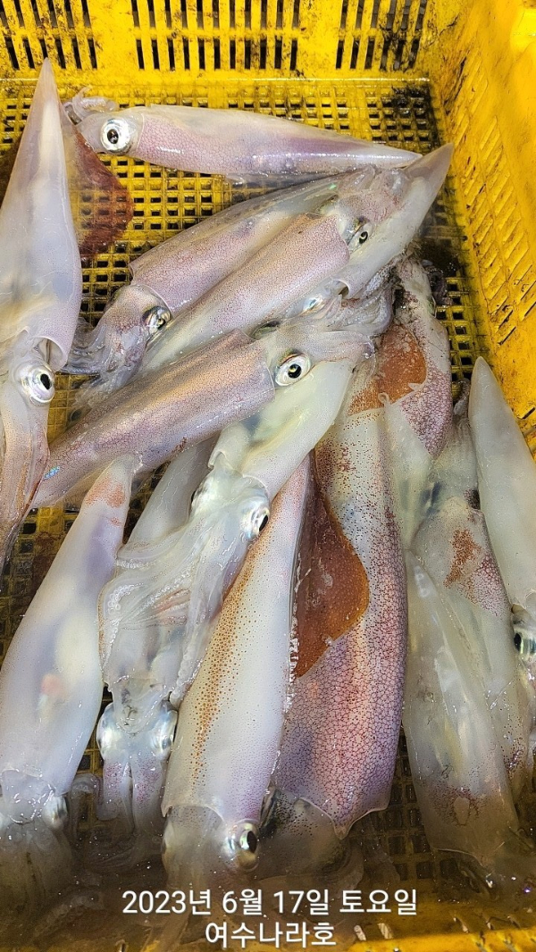 KakaoTalk_20230617_072013677_23.jpg