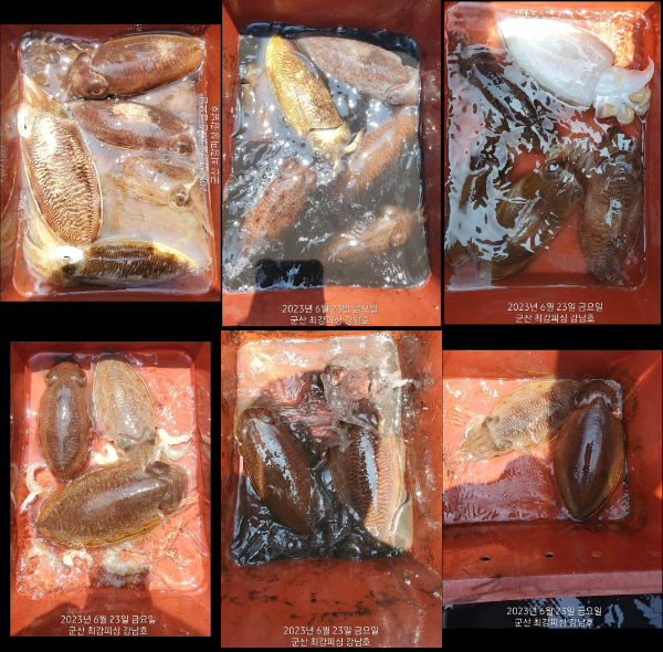 전체 사진.jpg