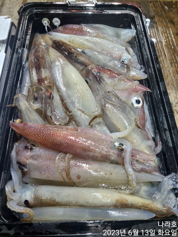 KakaoTalk_20230613_085816143.jpg