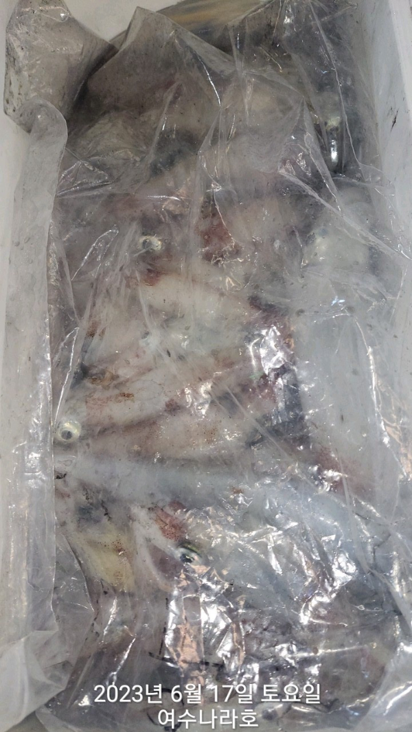 KakaoTalk_20230617_072013677_13.jpg