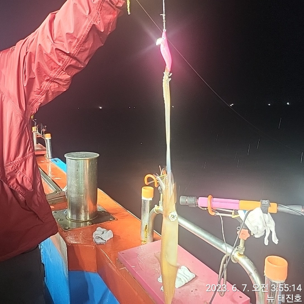 bf9e24899342eb64724be3d3981444b3.jpg