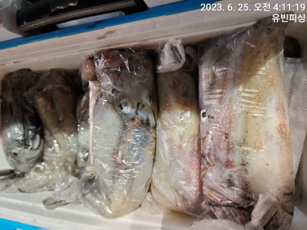 KakaoTalk_20230625_090631011_04.jpg