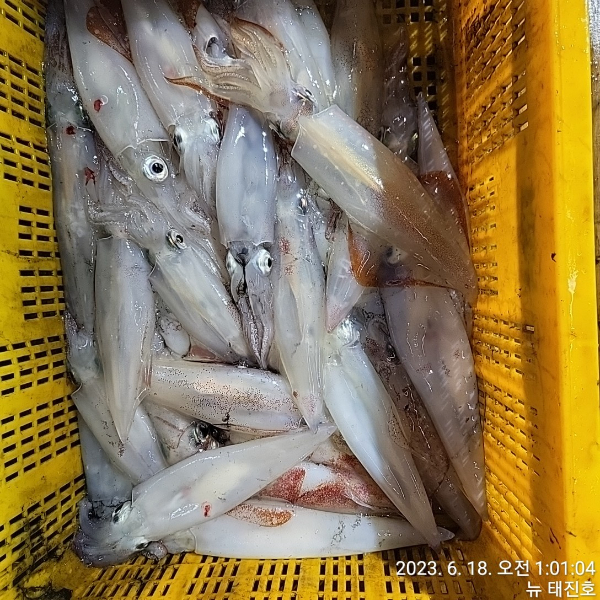 c70744cc937844c6851ff498cdd0182d.jpg