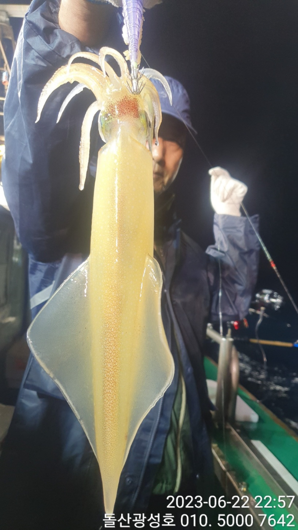 KakaoTalk_20230623_065517273_18.jpg