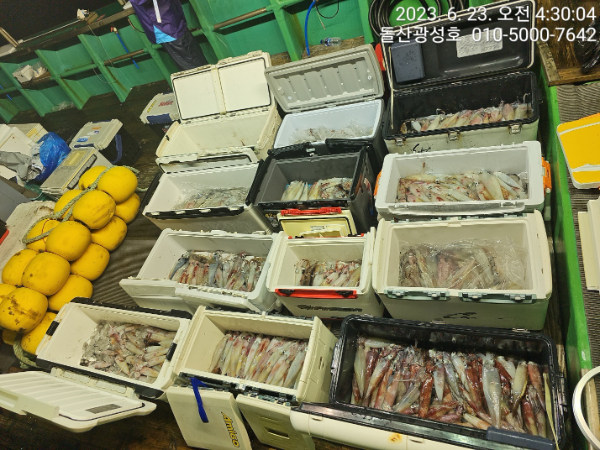 KakaoTalk_20230623_065517273_28.jpg