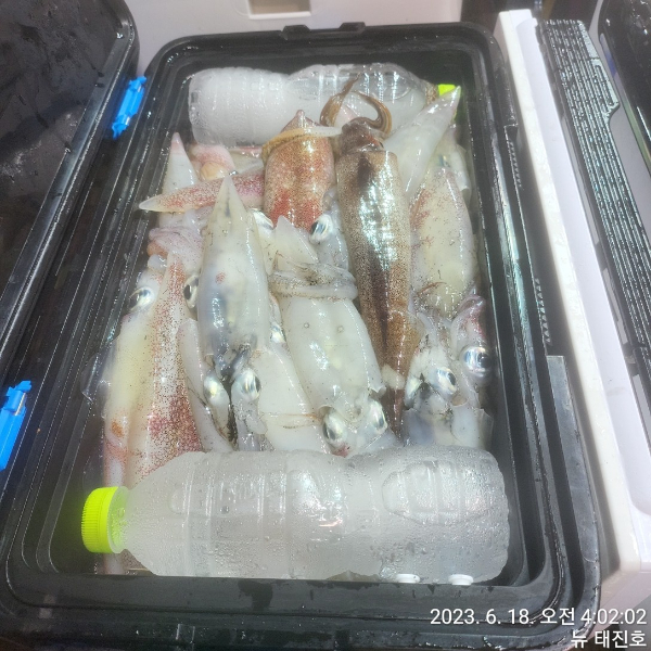 ec74918974762a30231dad76936848b4.jpg