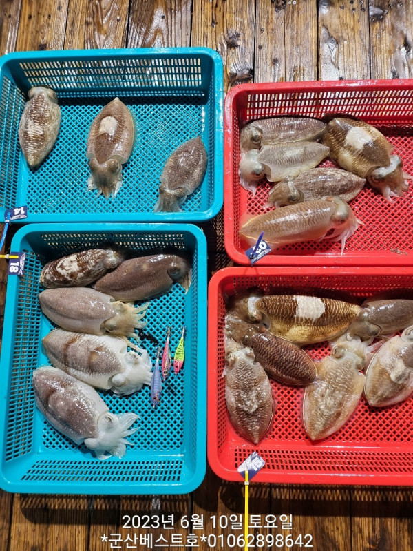 KakaoTalk_20230610_101319730_01.jpg
