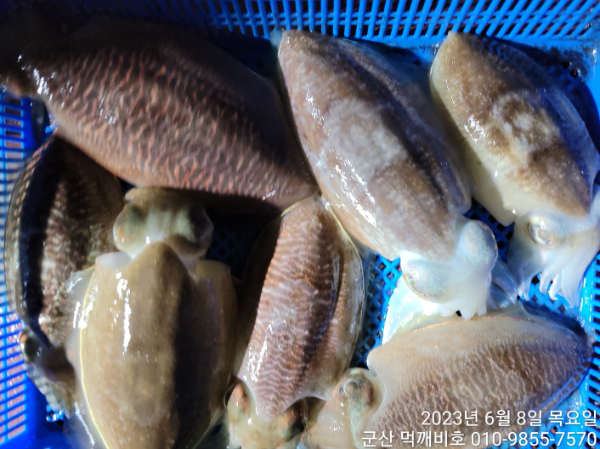 KakaoTalk_20230608_040048379_06.jpg