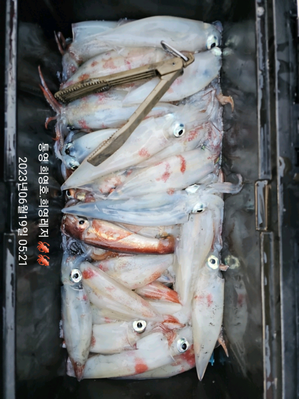 f8efbc0f9ec5447be1d097cc8331fcc3.jpg