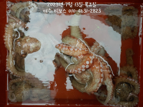 2654BF9E-F2A5-4D4A-B575-ED5059241581.jpeg