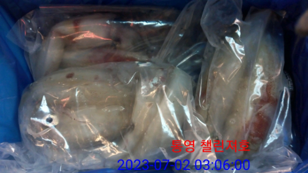 084206e4b6bea92cee7d161d4765312b.jpg
