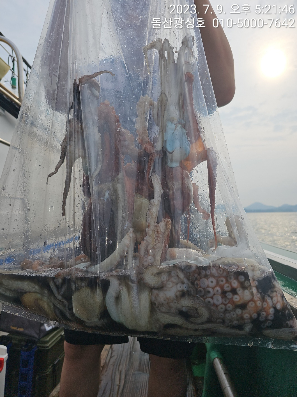 KakaoTalk_20230709_215116754_18.jpg