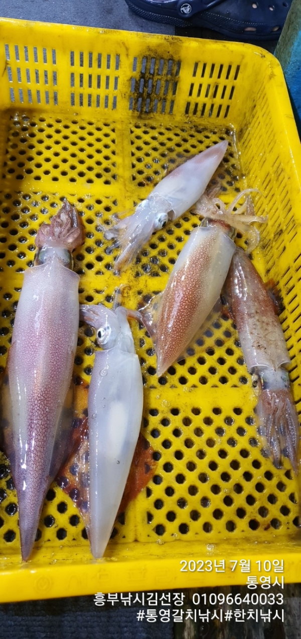 1689020091817.jpg