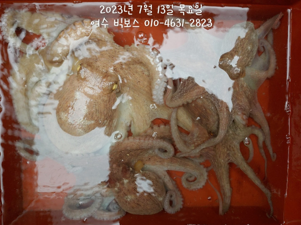 59262D0B-703E-4734-B63C-31C11ECF0CF2.jpeg
