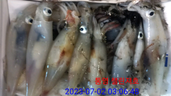 2268ec7989eaeab1905b55cb54ff4bef.jpg