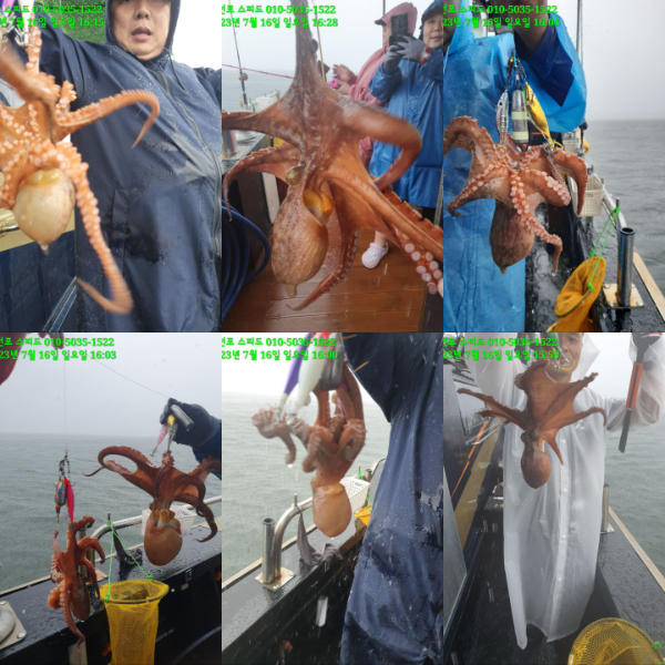 KakaoTalk_20230717_140311474_01.jpg
