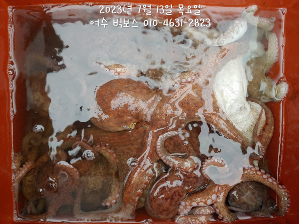 649480F3-F28F-4626-B1B4-F90ACBF94C05.jpeg