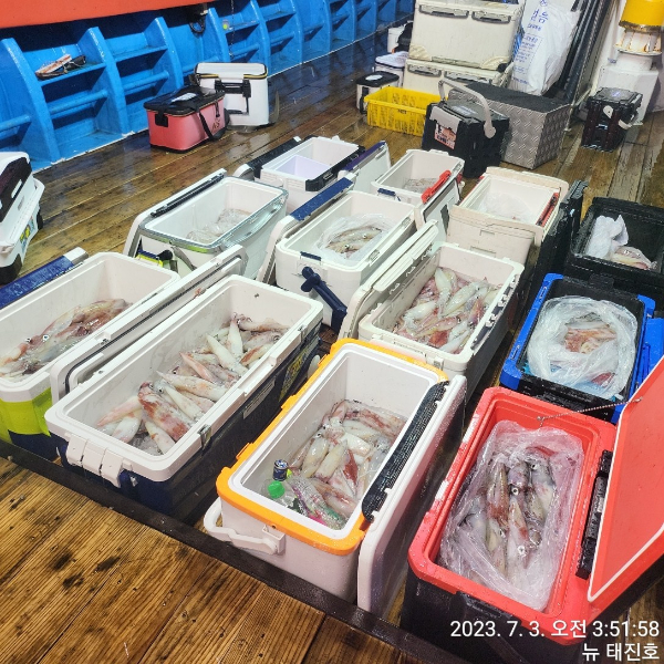 395ecf54248e9c1a3e6679b945395931.jpg